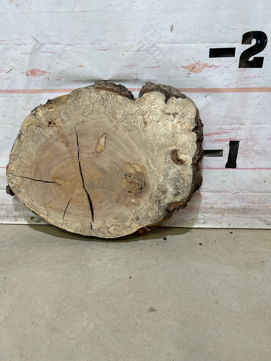 Live Edge Maple Cookie Sku#27886M