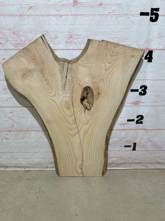 Live Edge Ash Sku#27278N-26