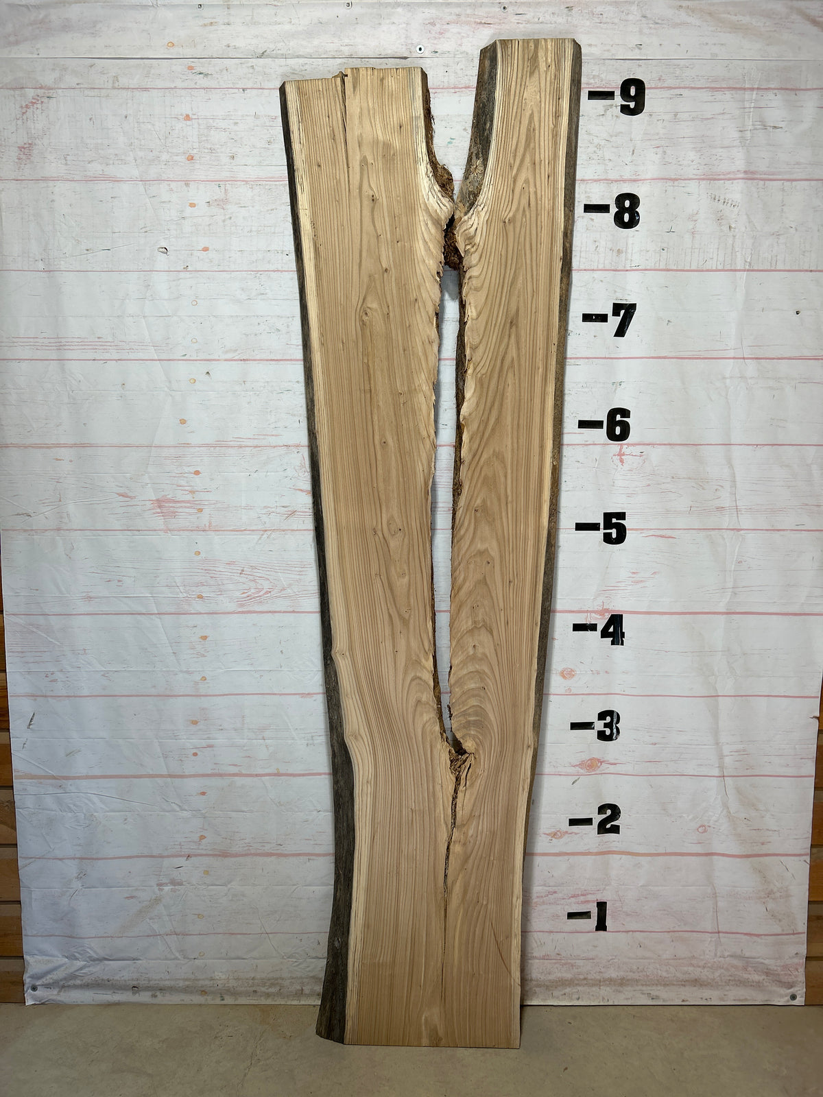 Live Edge Elm Sku#29035-47