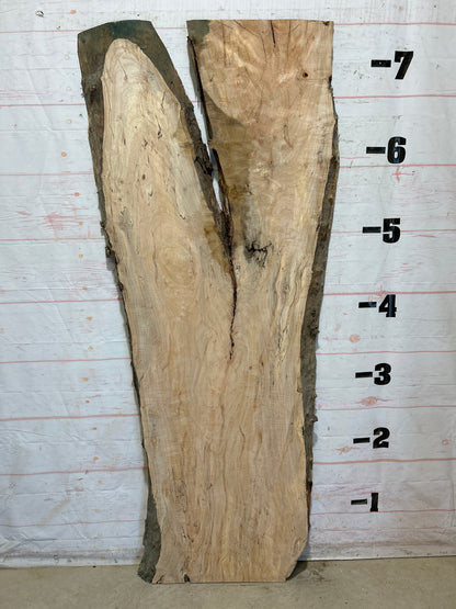 Live Edge Maple Sku#28427B-40