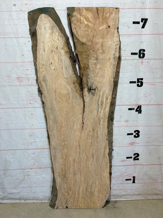 Live Edge Maple Sku#28427B-40