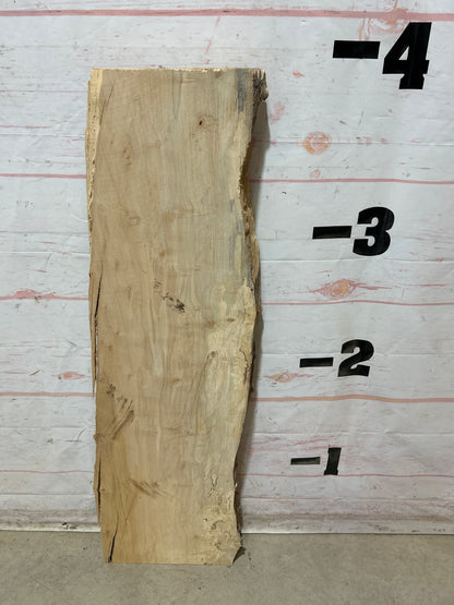Live Edge Maple Sku#28439E-9