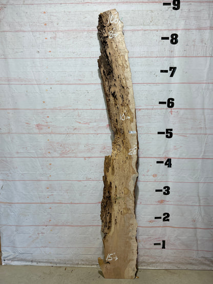 Live Edge Ambrosia Maple Sku#27261-18