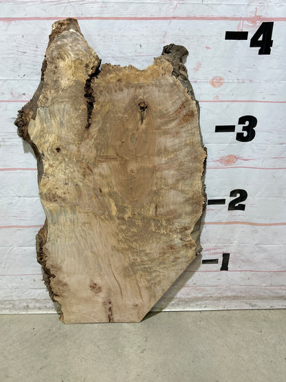 Live Edge Maple Sku#28087M-10