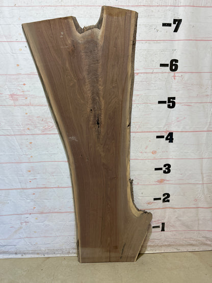 Live Edge Walnut Sku#27810-22