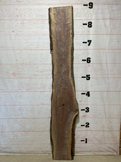 Live Edge Walnut Sku#28534M-19