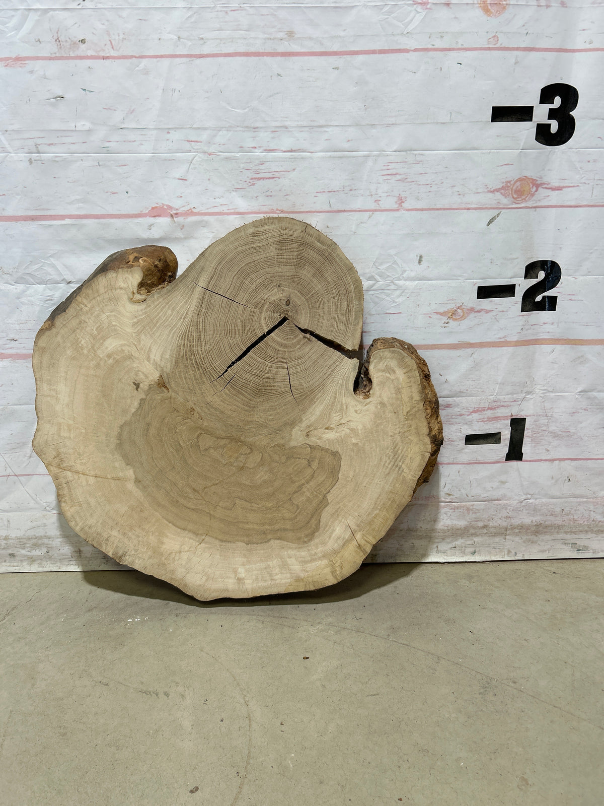 Live Edge White Oak Cookie Sku#28988M