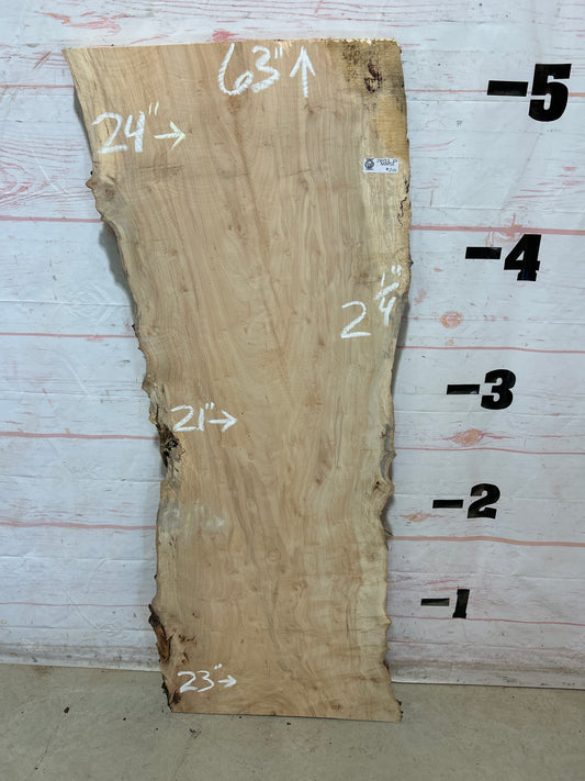 Live Edge Maple Sku#28433E-23