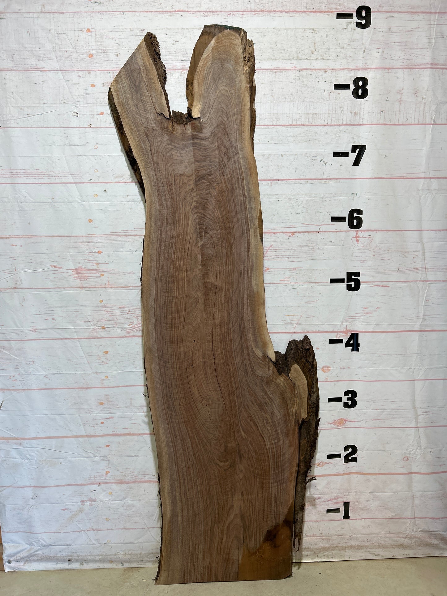Live Edge Walnut Sku#27468-39