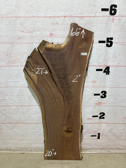 Live Edge Walnut Sku#28941G-22