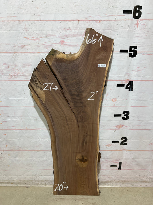 Live Edge Walnut Sku#28941G-22
