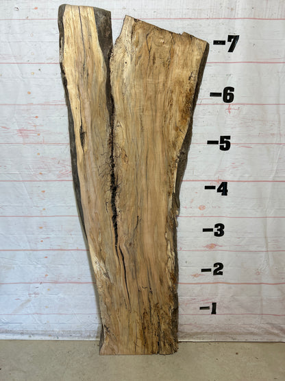 Live Edge Maple Sku#28271B-37