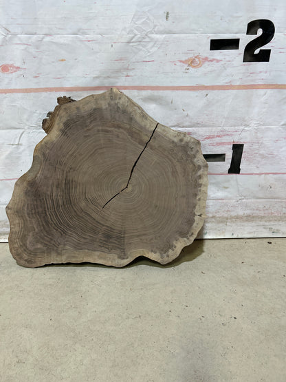 Live Edge Walnut Cookie Sku#27872M