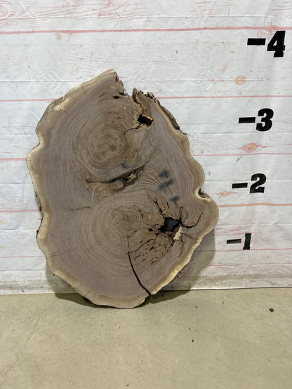 Live Edge Walnut Sku#28883M