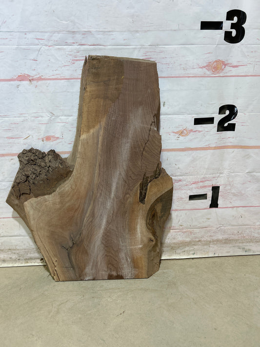 Live Edge Walnut Sku#27776M-8
