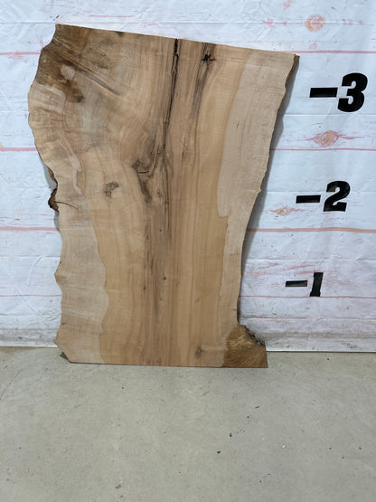 Live Edge Maple Sku#28260E-16