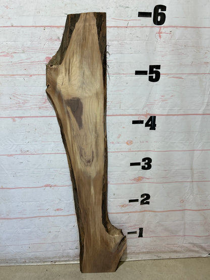 Live Edge Walnut Sku#28217M-6