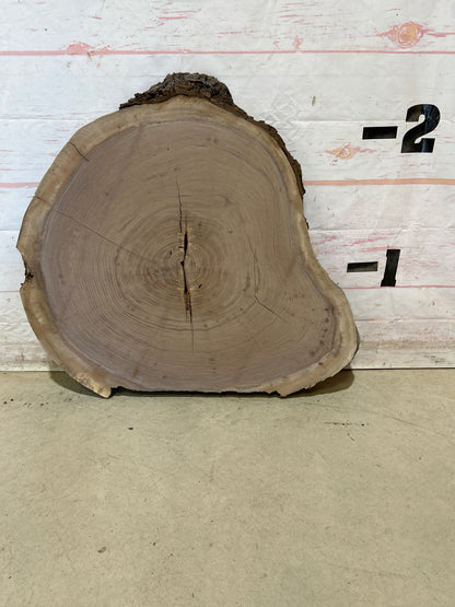 Live Edge Walnut Cookie Sku#28445M