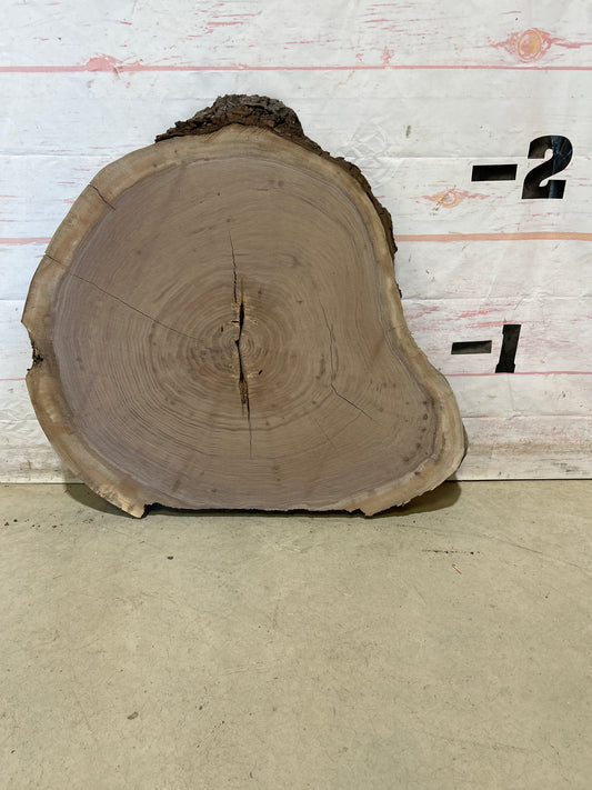 Live Edge Walnut Cookie Sku#28445M