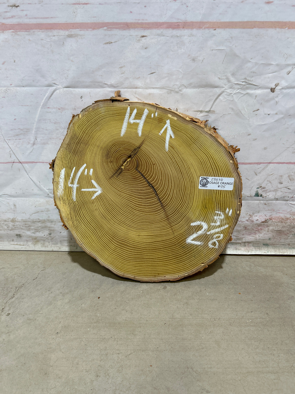 Live Edge Osage Orange Sku#28838M