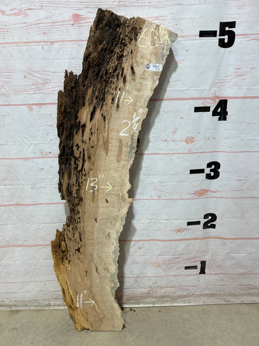 Live Edge Ambrosia Maple Sku#27266-12