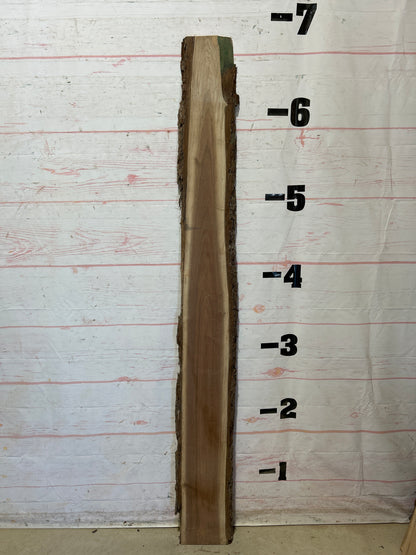 Live Edge Walnut Sku#27779M-6
