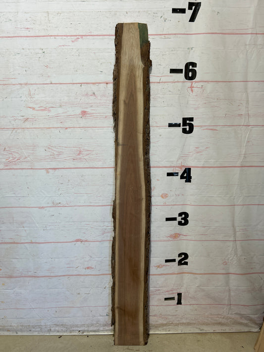 Live Edge Walnut Sku#27779M-6