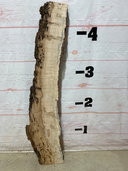 Live Edge Ambrosia Maple Sku#27269-9