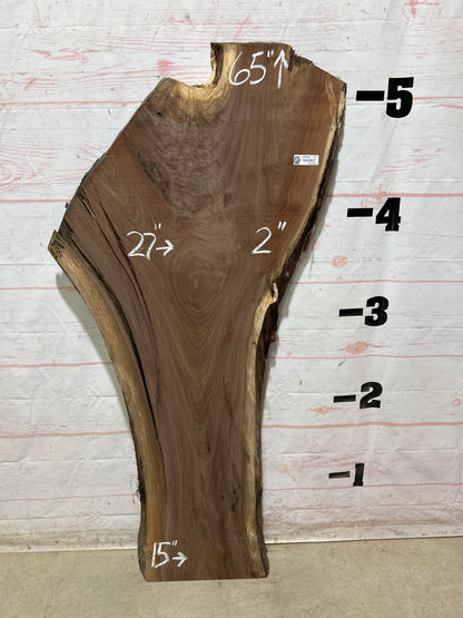 Live Edge Walnut Sku#28938G-19
