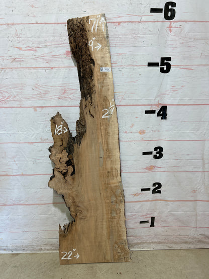Live Edge Ambrosia Maple Sku#27271-18