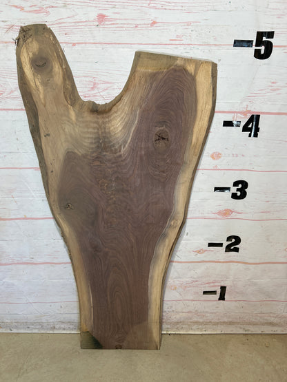Live Edge Walnut Sku#27800-12