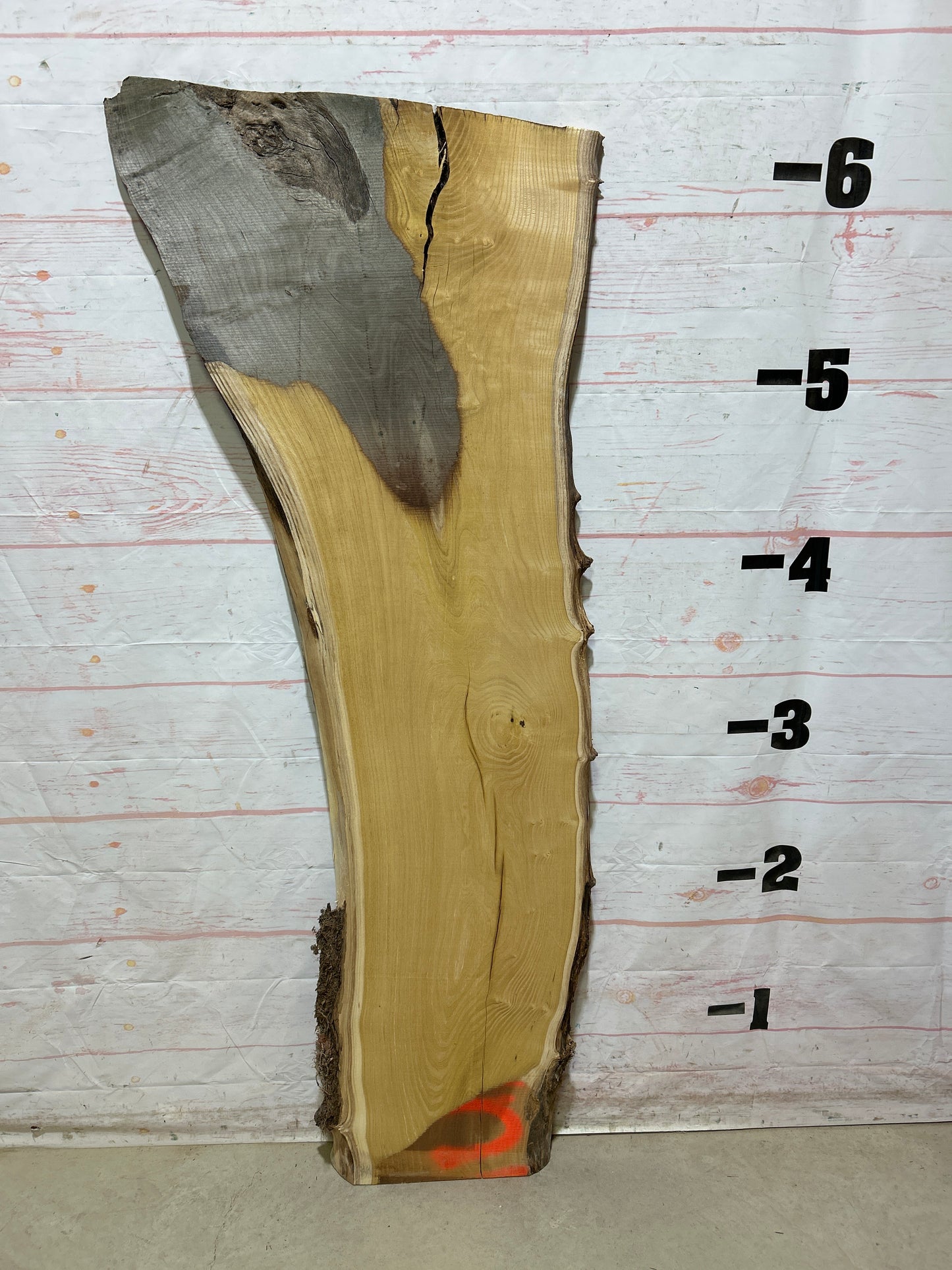 Live Edge Mulberry Sku#27624H-23