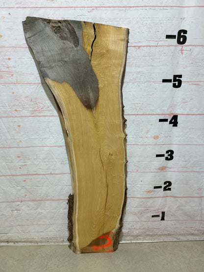 Live Edge Mulberry Sku#27624H-23