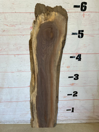 Live Edge Walnut Sku#28396F-12
