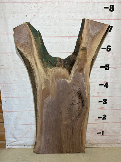 Live Edge Walnut Sku#27938-66