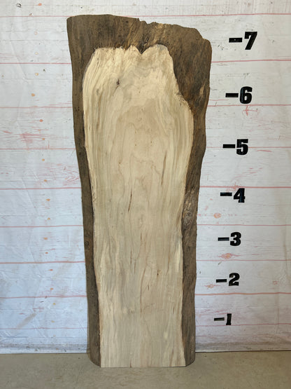 Live Edge Maple Sku#28493-35