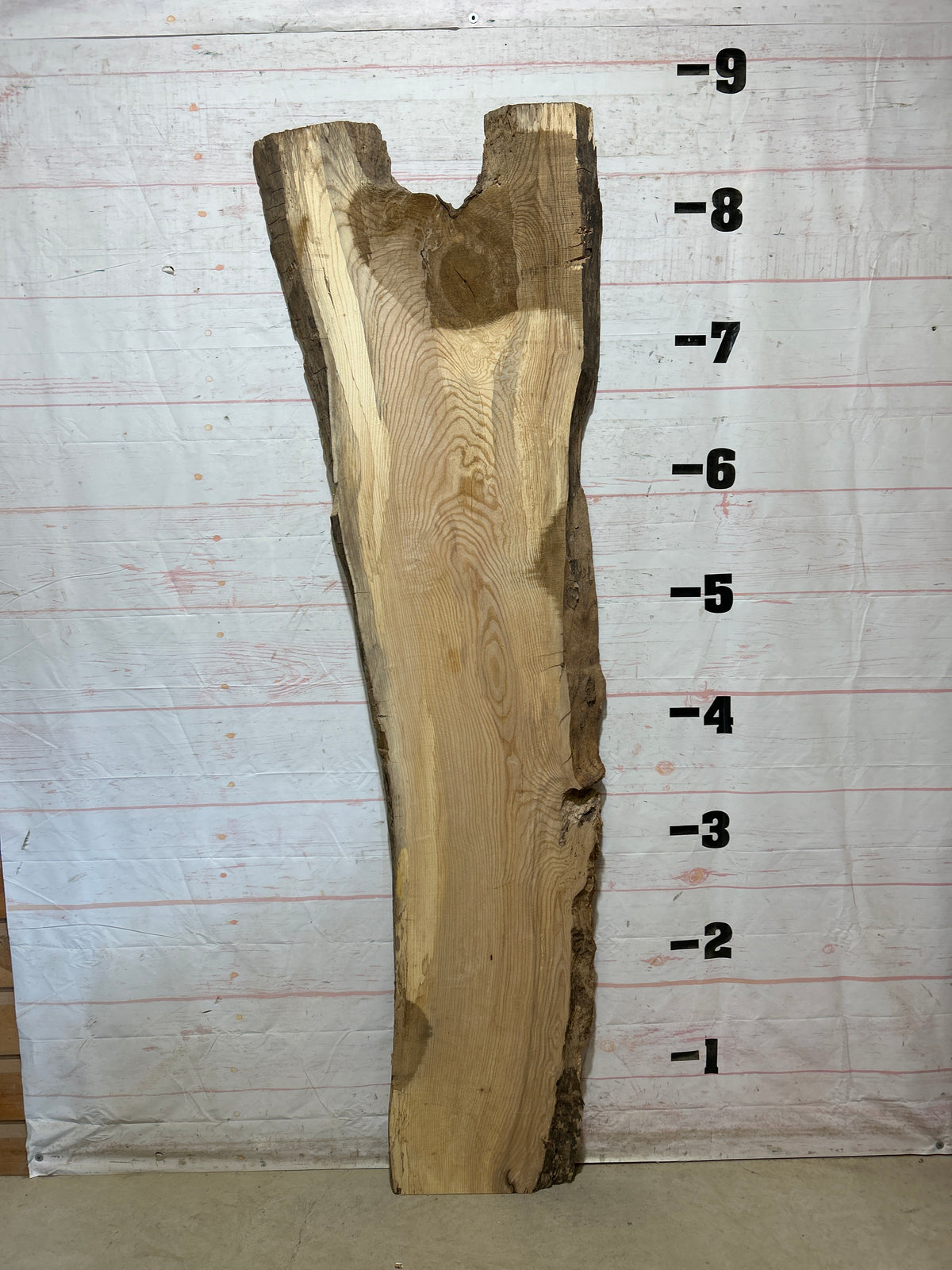 Live Edge Ash Sku#28813-36