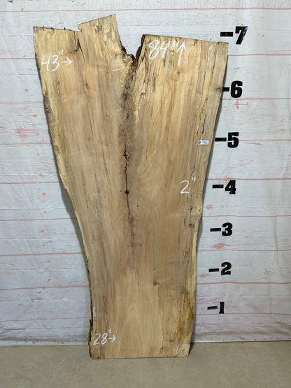 Live Edge Maple Sku#28317B-40