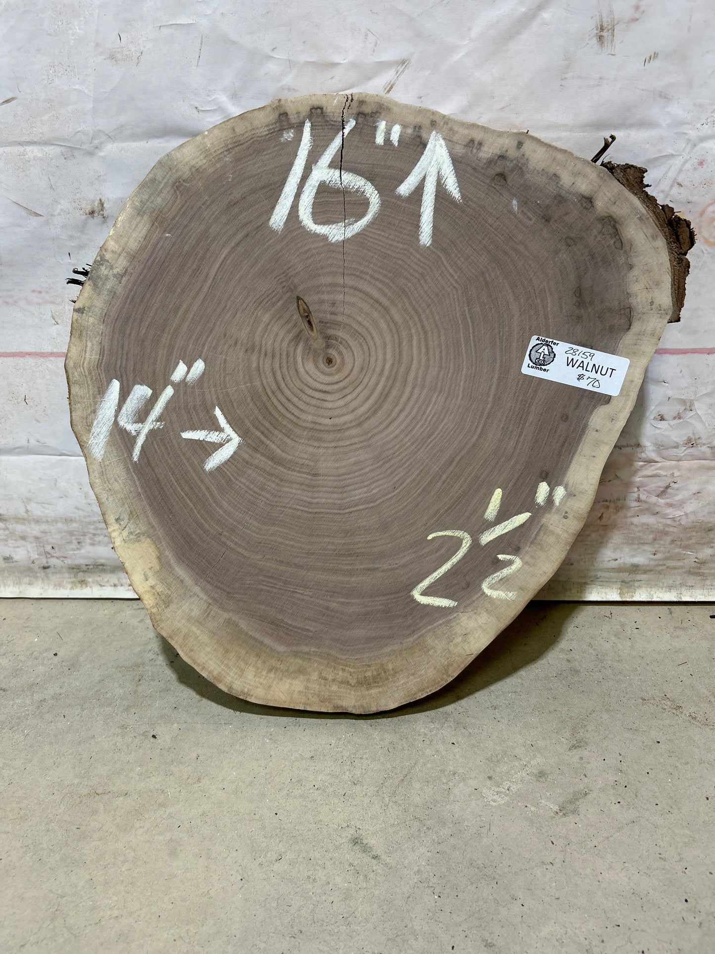 Live Edge Walnut Cookie Sku#28159M