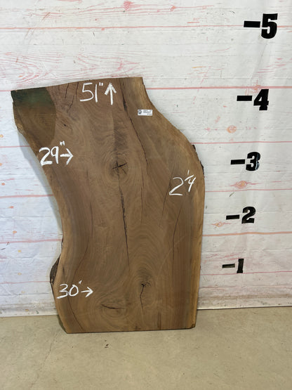Live Edge Walnut Sku#28844M-24