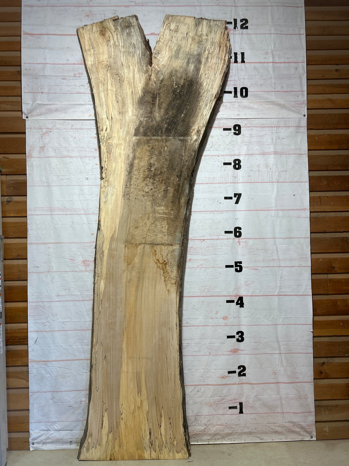 Live Edge Spalted Maple Sku#27298-84