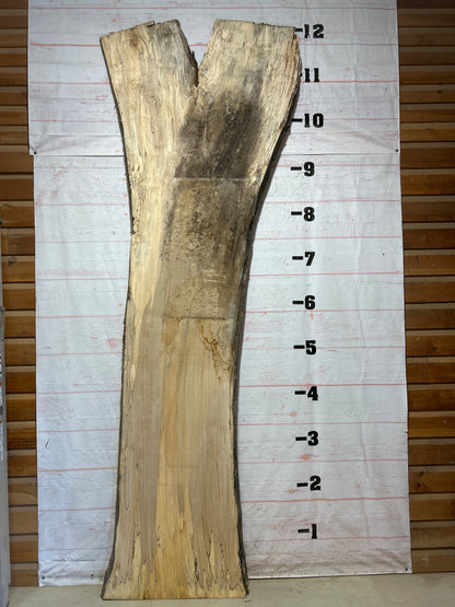 Live Edge Spalted Maple Sku#27298-84