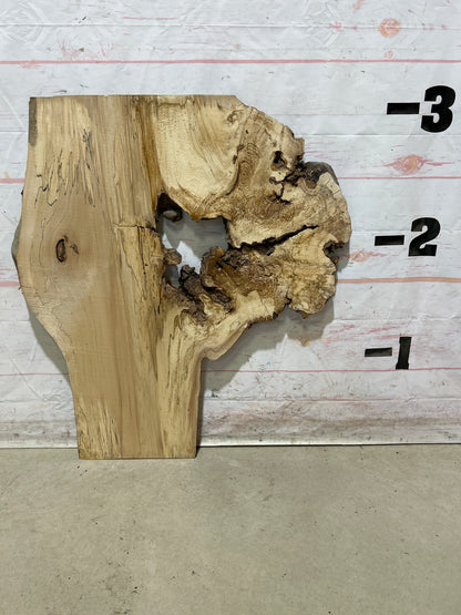 Live Edge Maple Sku#28089M-9