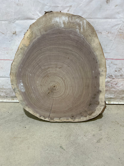 Live Edge Walnut Cookie Sku#28160M