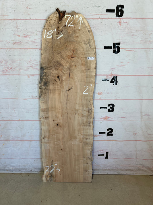 Live Edge Maple Sku#28498E-20