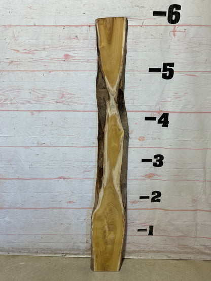 Live Edge Mulberry Sku#28354D-6