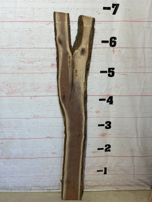 Live Edge Walnut Sku#27783M-9