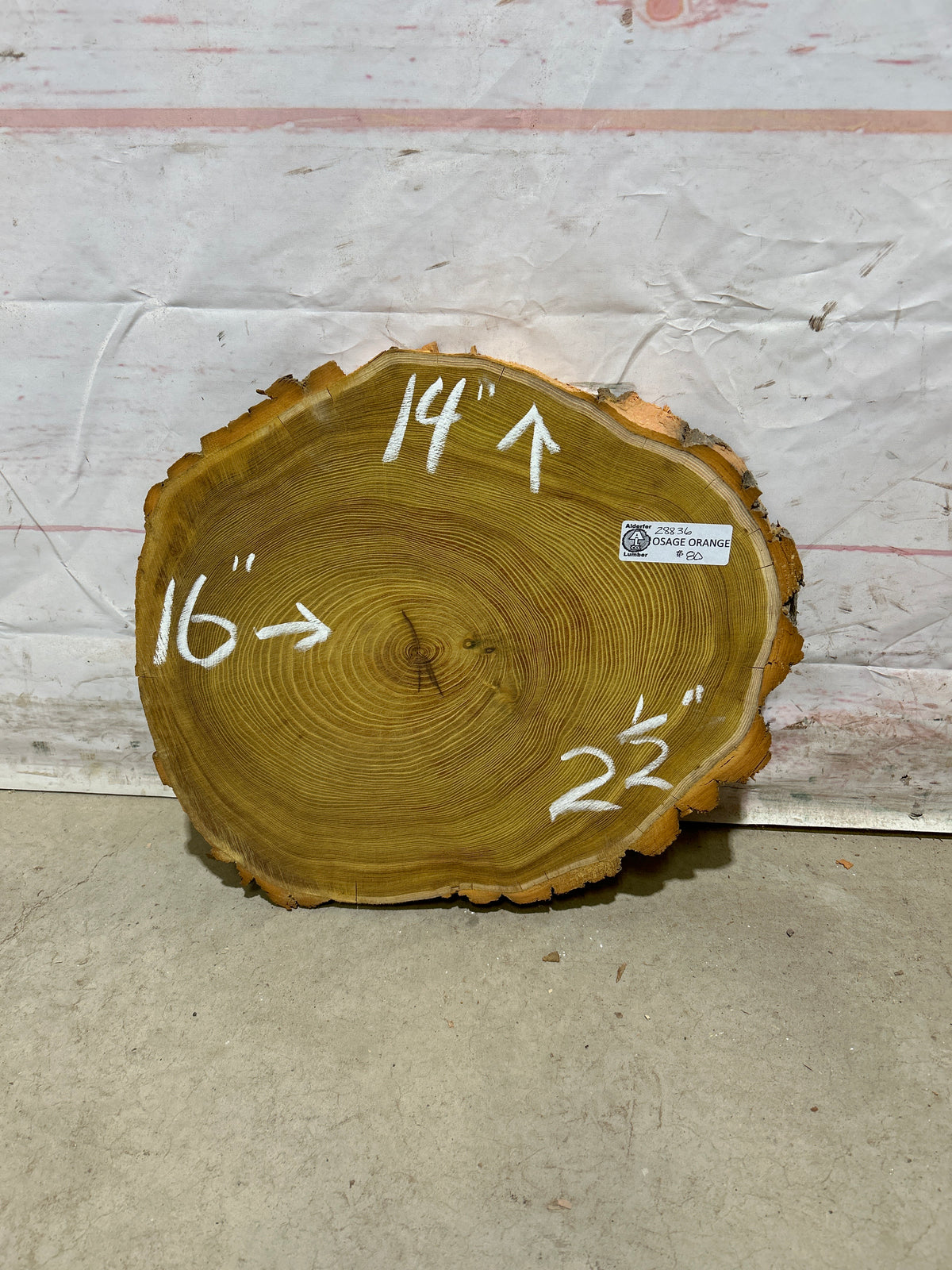 Live Edge Osage Orange Sku#28836M