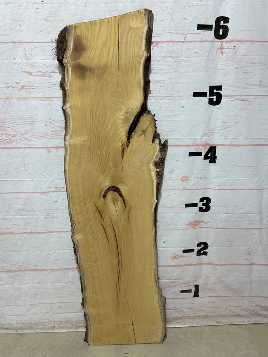 Live Edge Mulberry Sku#27616H-19