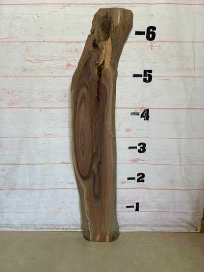 Live Edge Walnut Sku#28476G-14